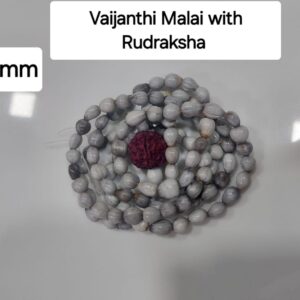 Vaijayanthi Mala with Rudraksha